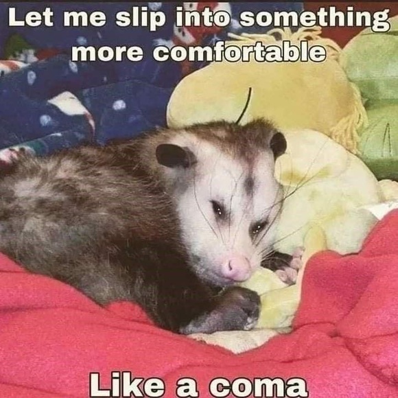 possumcottage